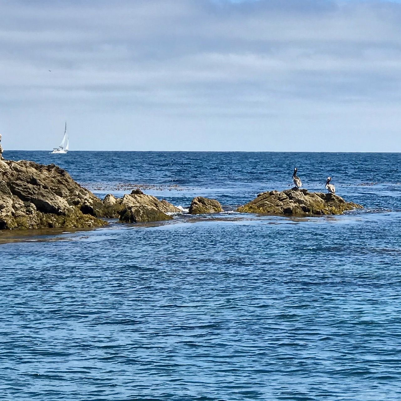A coastal view near Catalina